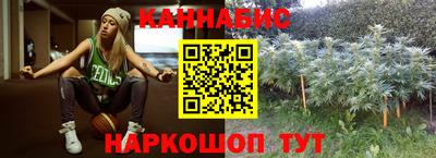 сатива Будённовск