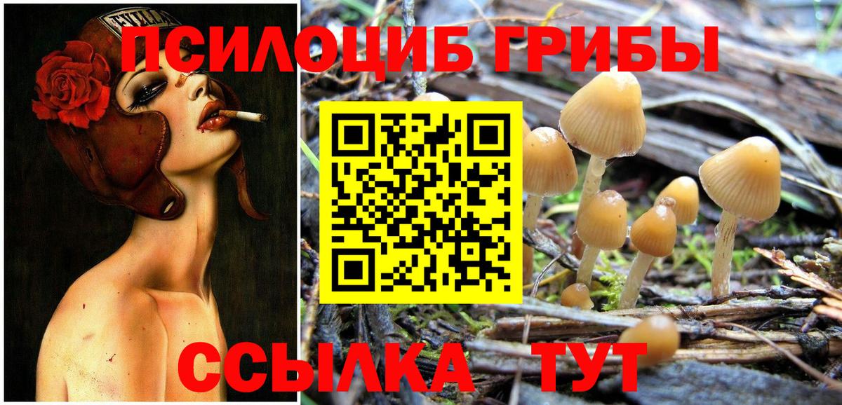 Псилоцибиновые грибы ЛСД Сосновый Бор
