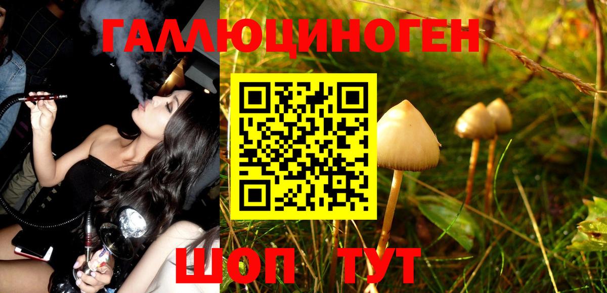Псилоцибиновые грибы Magic Shrooms  Вход с VPN  Псилоцибиновые грибы Cubensis  как найти наркотики  Сосновый Бор 