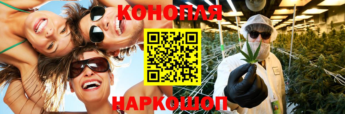 Бошки марихуана план Сосновый Бор